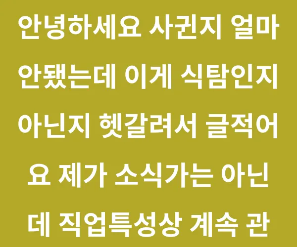 BADA.TV 바다티비
