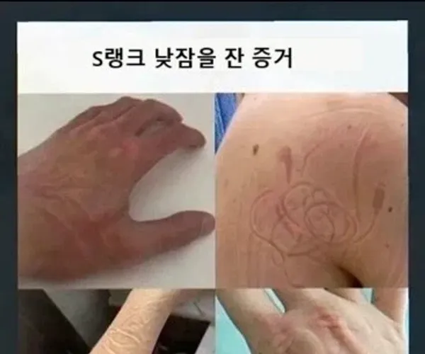BADA.TV 바다티비