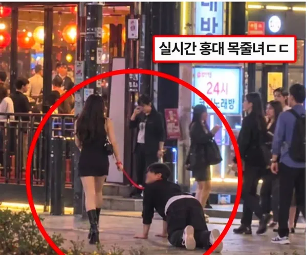 BADA.TV 바다티비