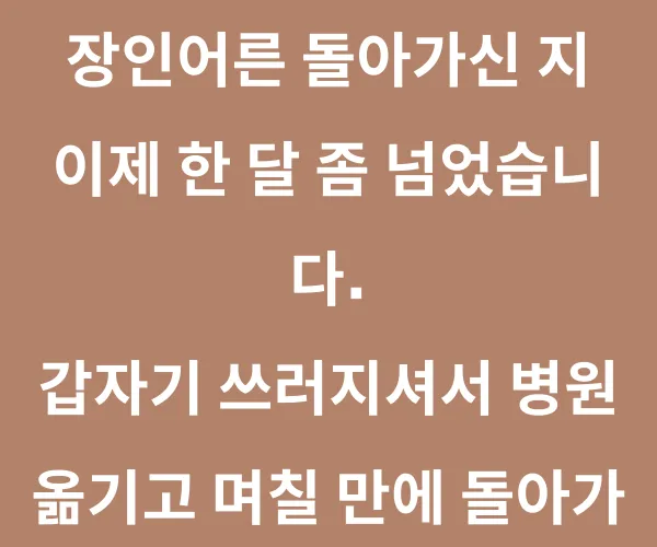 BADA.TV 바다티비