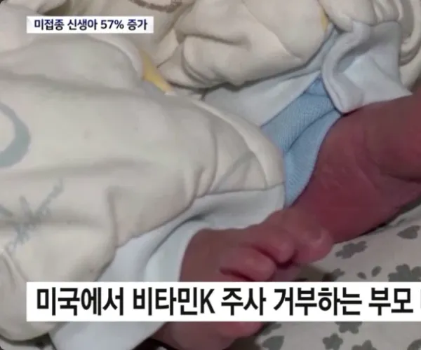 BADA.TV 바다티비