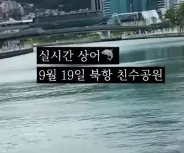 BADA.TV 바다티비
