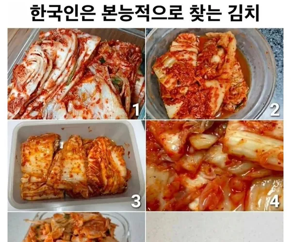 BADA.TV 바다티비