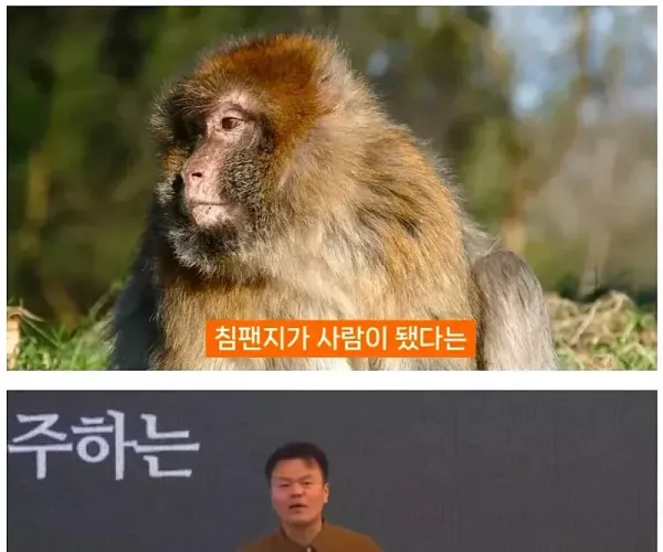 BADA.TV 바다티비