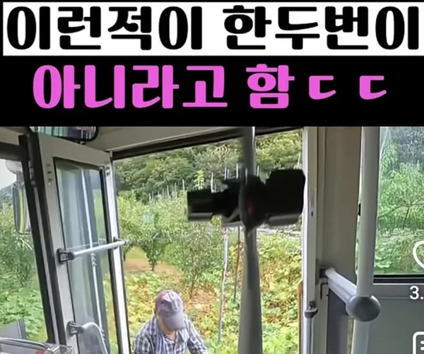 BADA.TV 바다티비