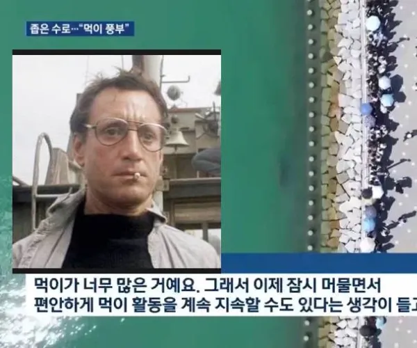 BADA.TV 바다티비