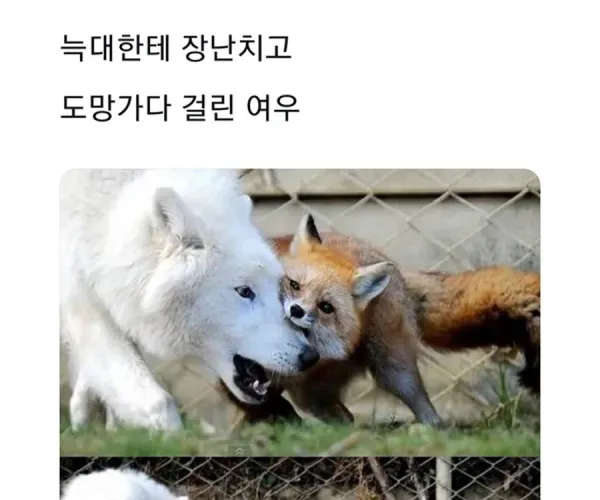 BADA.TV 바다티비