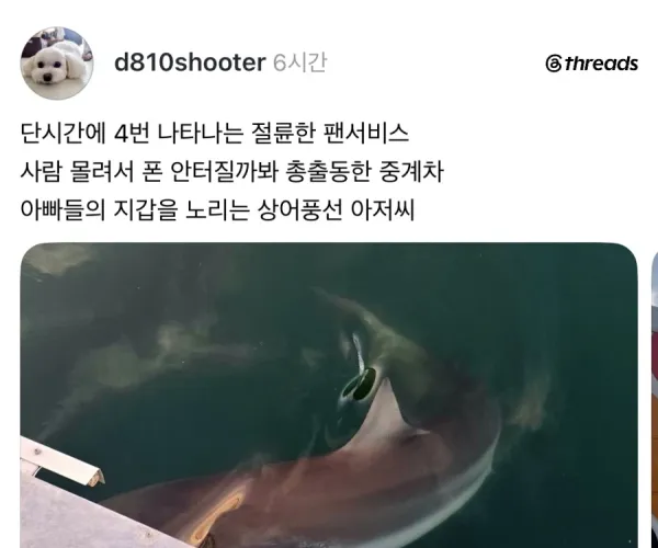 BADA.TV 바다티비