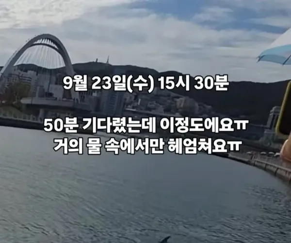 BADA.TV 바다티비