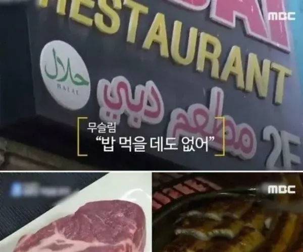 BADA.TV 바다티비