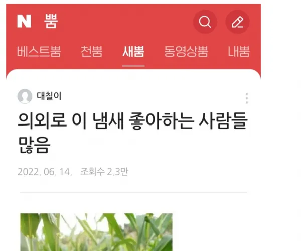 BADA.TV 바다티비