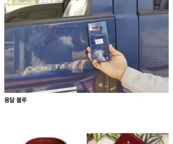 BADA.TV 바다티비