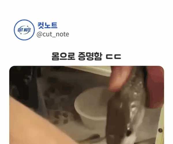 BADA.TV 바다티비