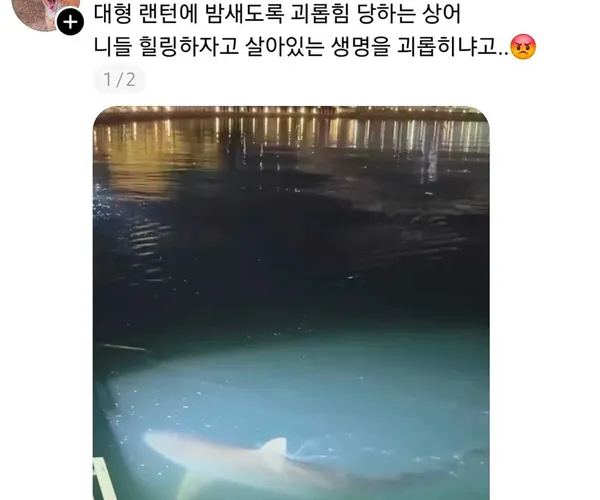 BADA.TV 바다티비