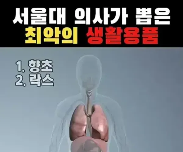 BADA.TV 바다티비