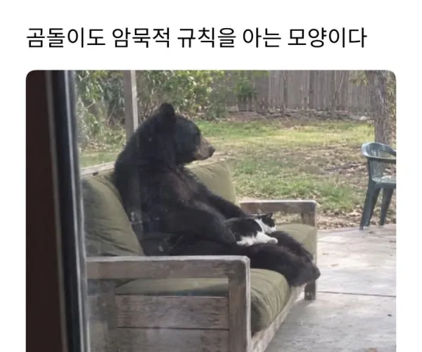 BADA.TV 바다티비