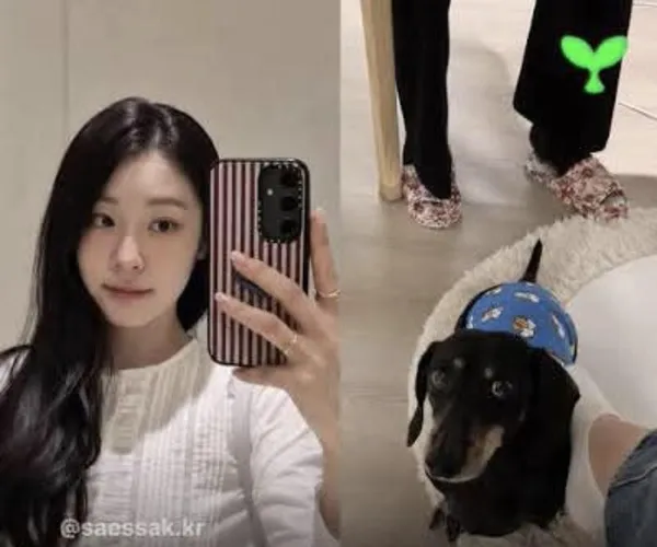 BADA.TV 바다티비