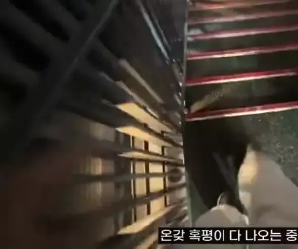 BADA.TV 바다티비
