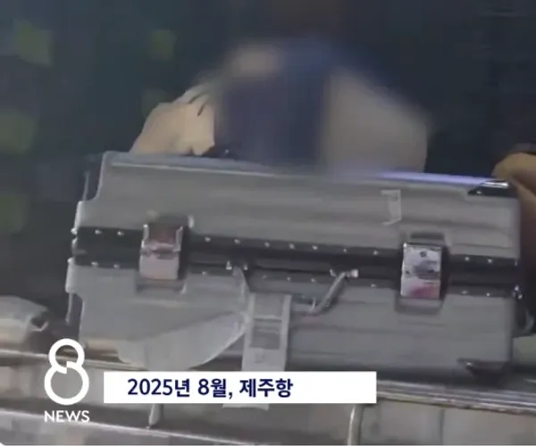 BADA.TV 바다티비
