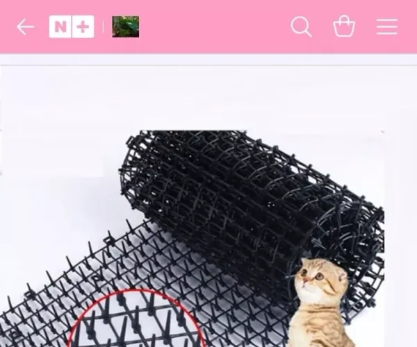 BADA.TV 바다티비