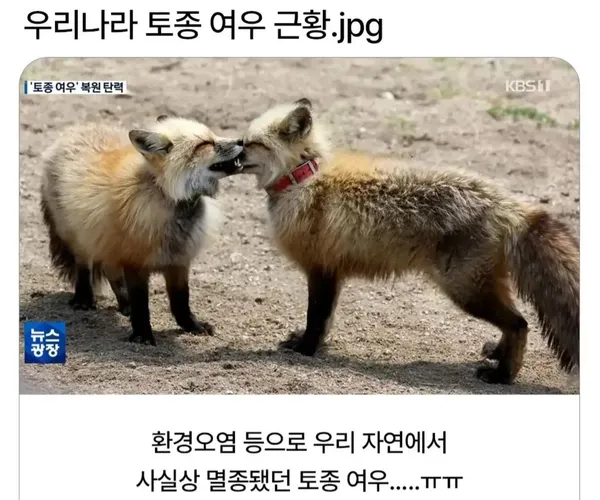 BADA.TV 바다티비