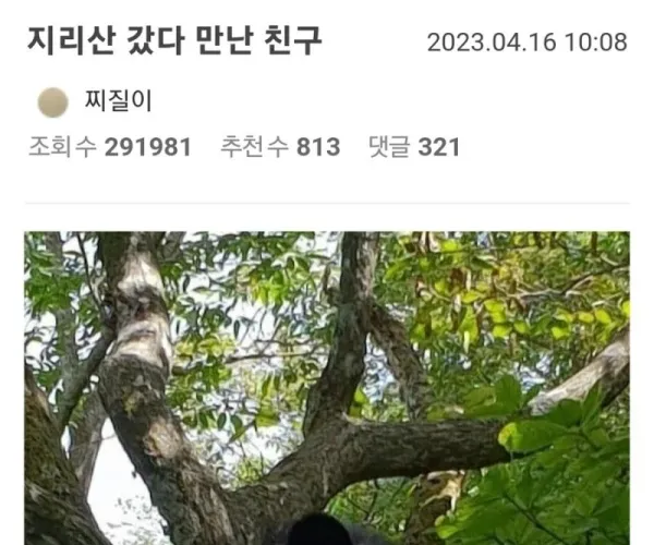BADA.TV 바다티비