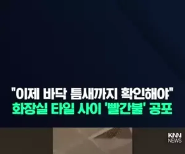 BADA.TV 바다티비
