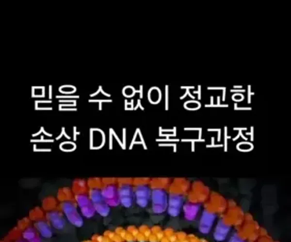 BADA.TV 바다티비