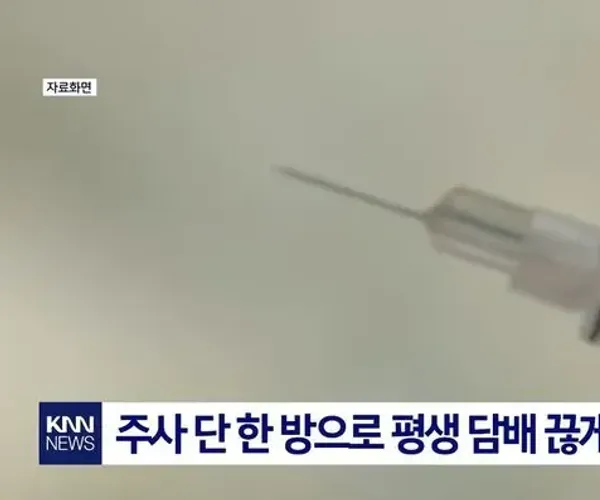 BADA.TV 바다티비