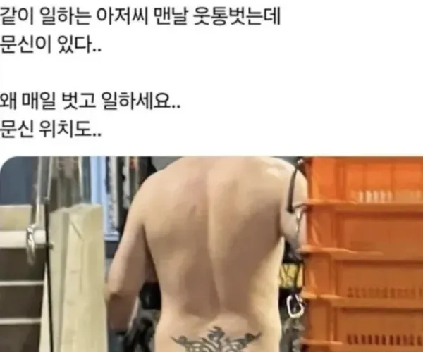 BADA.TV 바다티비