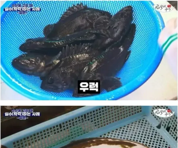 BADA.TV 바다티비
