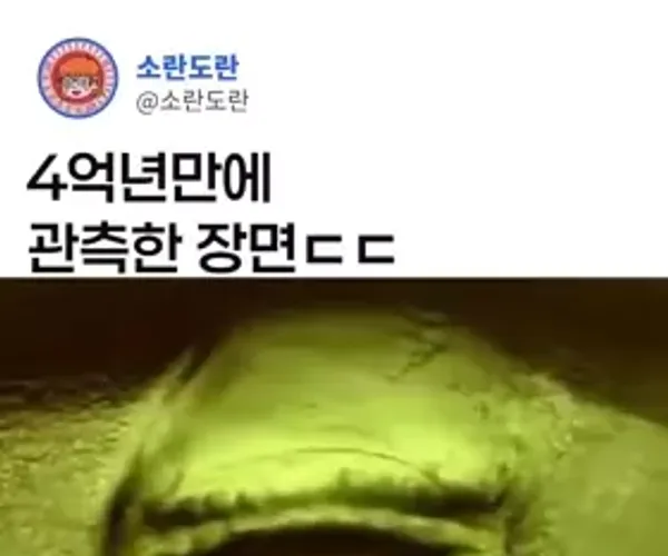 BADA.TV 바다티비