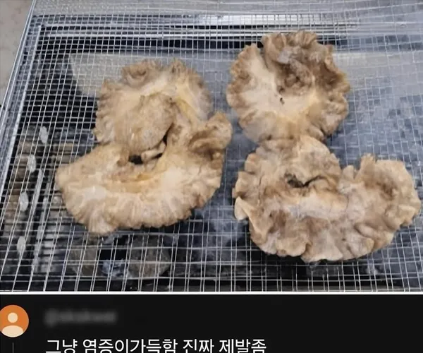 BADA.TV 바다티비