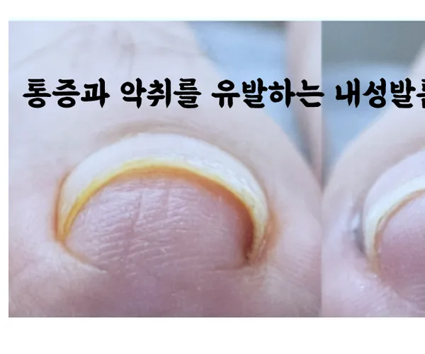 BADA.TV 바다티비
