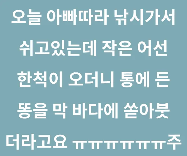 BADA.TV 바다티비