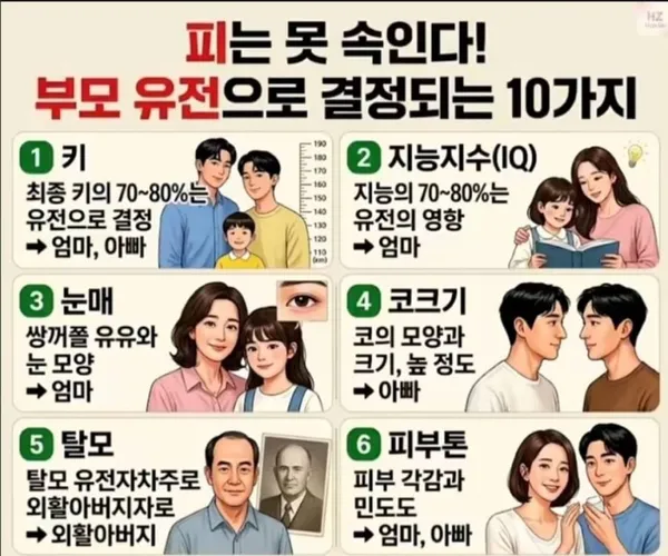 BADA.TV 바다티비