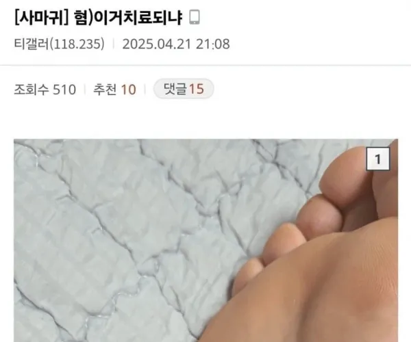 BADA.TV 바다티비