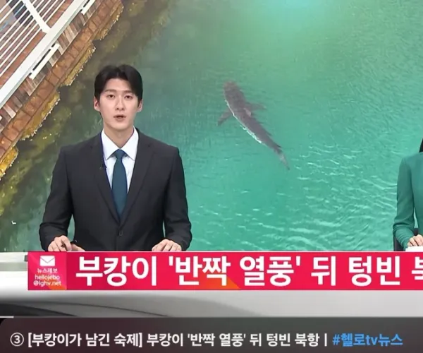 BADA.TV 바다티비