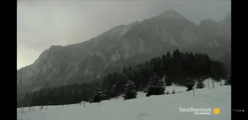 24b0d121e09c28a8699fe8b115ef046c67f72c489cec