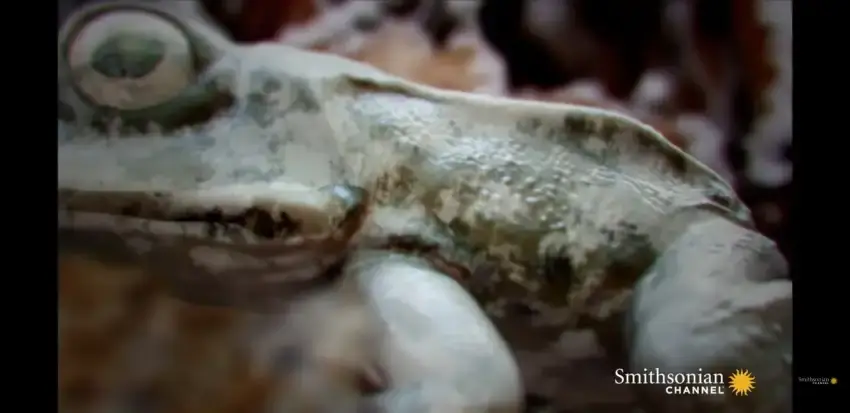 24b0d121e09c28a8699fe8b115ef046f5c4f9d98a9c8