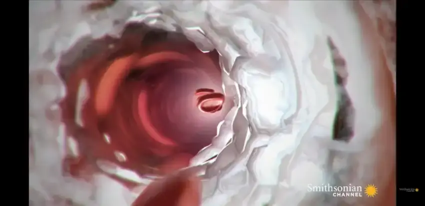 24b0d121e09c28a8699fe8b115ef046f5e4a9897a1cf