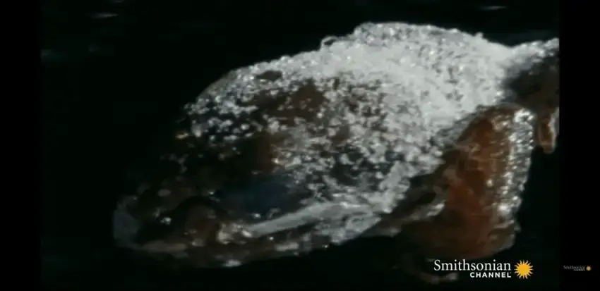 24b0d121e09c28a8699fe8b115ef046c68f7204b9feb