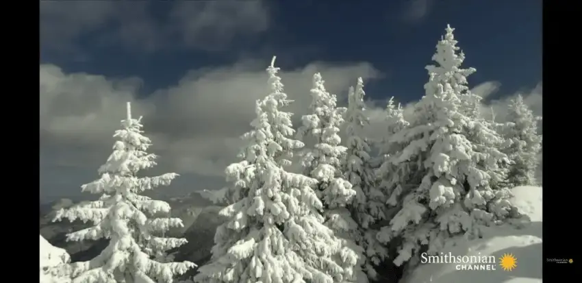 24b0d121e09c28a8699fe8b115ef046f574f9a9aacca