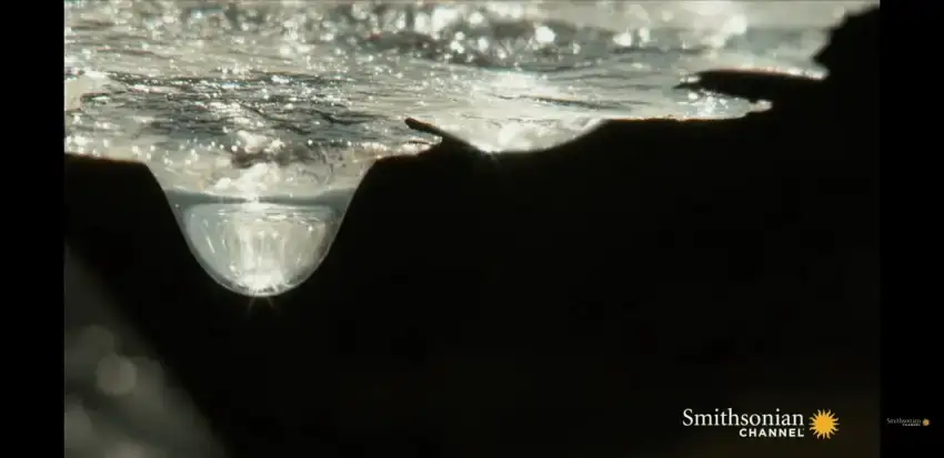 24b0d121e09c28a8699fe8b115ef046c68f82a499dee