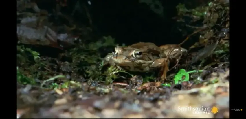 24b0d121e09c28a8699fe8b115ef046f574e9d99adc9