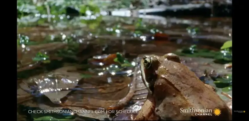 24b0d121e09c28a8699fe8b115ef046ece4fceff2087