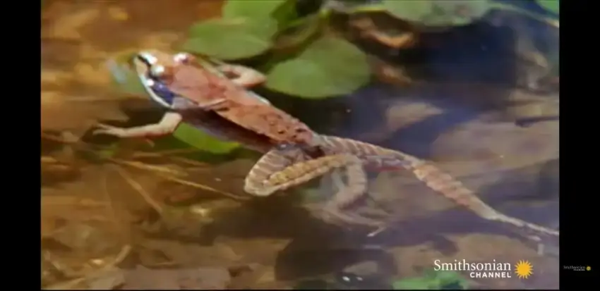 24b0d121e09c28a8699fe8b115ef046f5c499b96aace